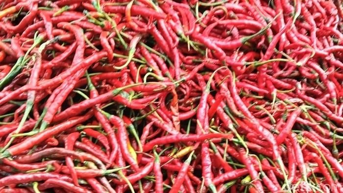 Harga Cabai Naik, Petani Sumut Untung Besar Pasokan Aman