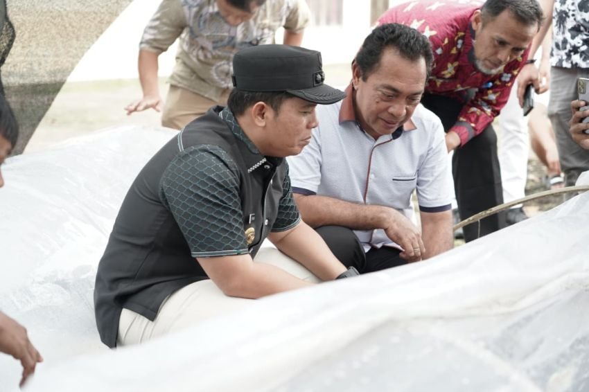Bupati Tinjau Persiapan Lahan Hortikultura di Perkantoran Pemkab Palas