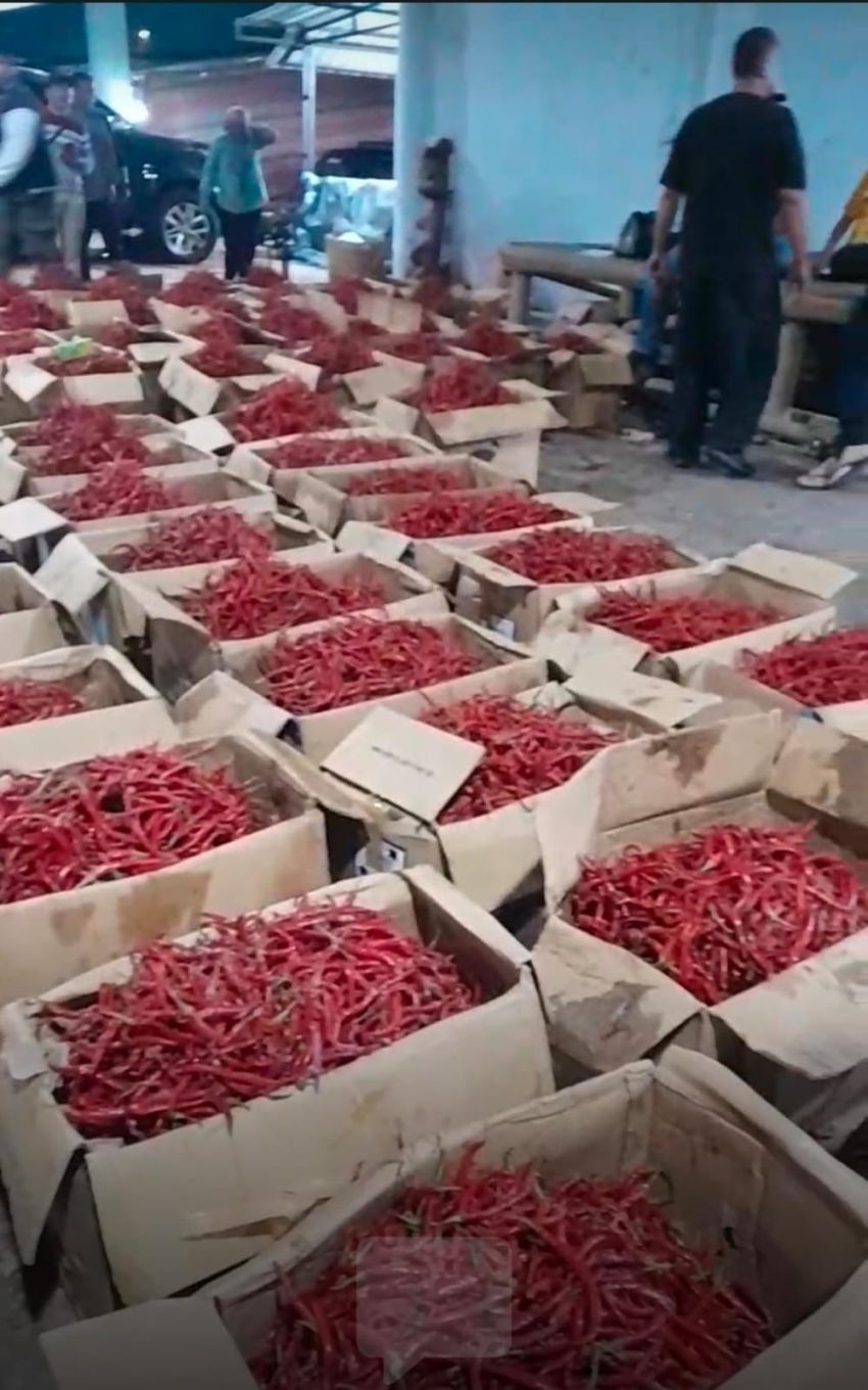 Pemprovsu Kembali Gelontorkan 22 Ton Cabai Merah, Harga Mulai Turun di Pasaran