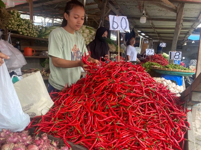 Harga Cabai di Sumut Turun Jadi Rp60 Ribu per Kg Tanpa Intervensi Pemerintah