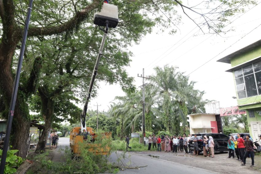 Ricky Anthony Desak Pemkab Langkat Segera Peremajaan Pohon Tua di Stabat