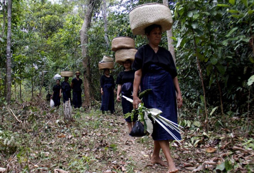 MK: Aktivitas Berkebun Masyarakat Adat di Hutan Tak Dianggap Pelanggaran Selama Nonkomersial