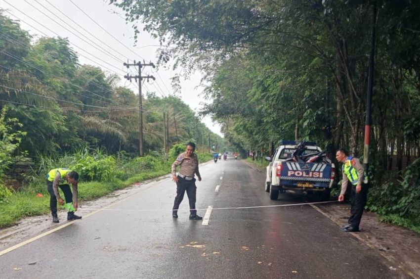 Diduga Korban Tabrak Lari, Tepuk Purba Ditemukan Tewas di Galang