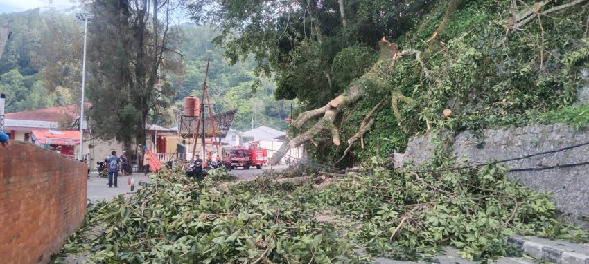 Angin Kencang Tumbangkan Pohon di Tepi Jalan TPR Sinaga Parapat