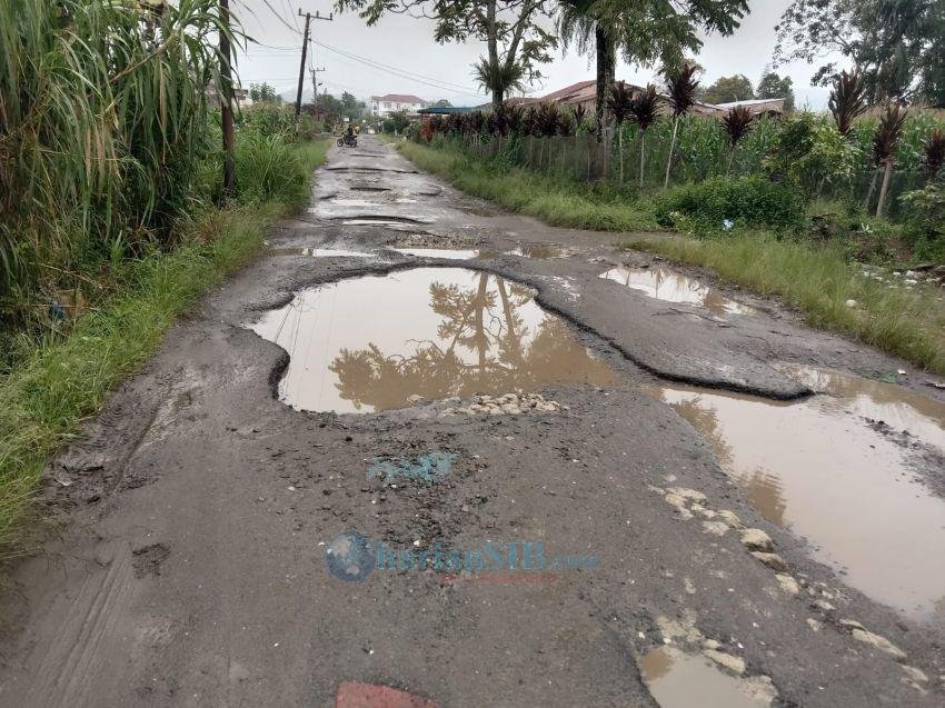 Jalan Rusak di Raya Hambat Angkutan Hasil Pertanian