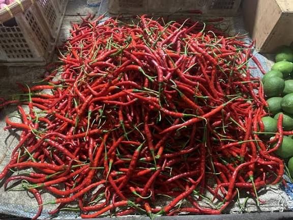 Cabai Sumut Surplus 8.000 Ton, Banyak Dikirim ke Luar Daerah