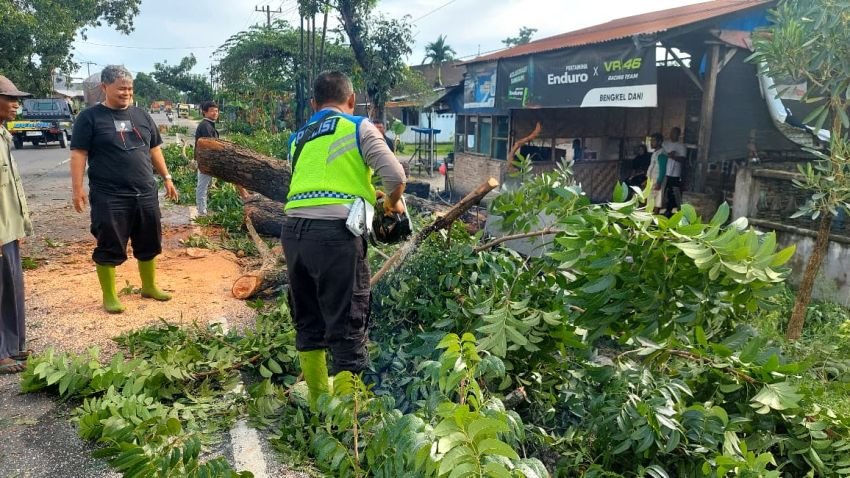 Sat Lantas Polres Sergai Gerak Cepat Bersihkan Pohon Tumbang di Jalinsum, Masyarakat Apresiasi