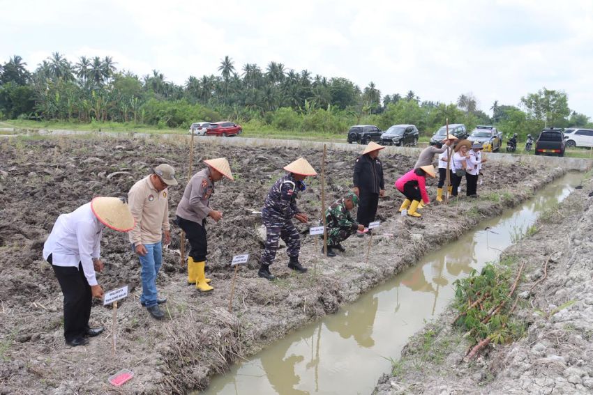 Polres Tanjungbalai Tanam Jagung Serentak Dukung Swasembada Pangan Nasional