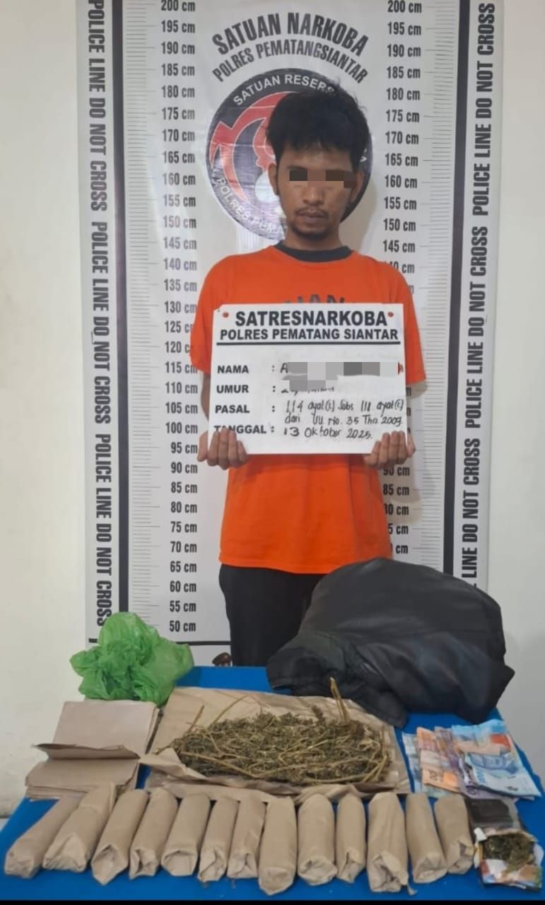Dari Dalam Gubuk, Polres Pematangsiantar Bekuk Pemuda Pemilik 230 Gram Ganja