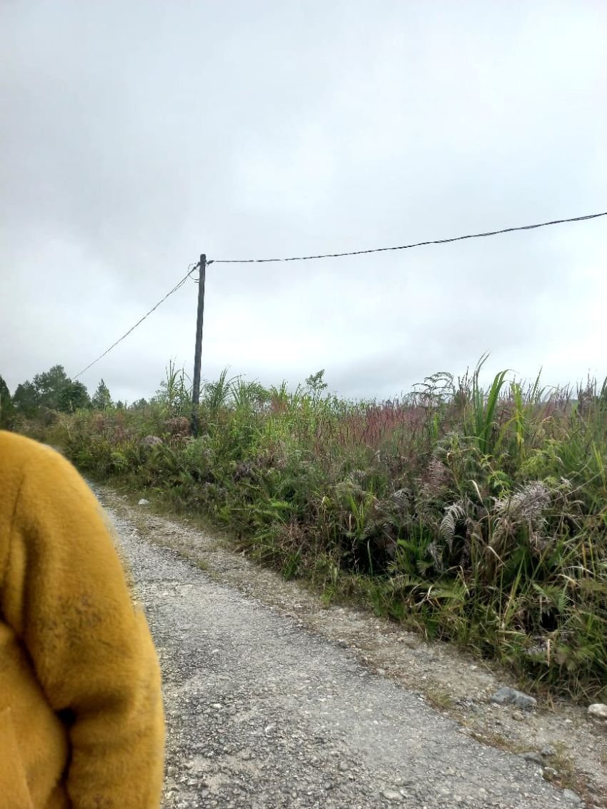 Pasca Diberitakan, Kabel PLN di Humbahas yang Berjarak Setengah Meter dari Bahu Jalan Diperbaiki