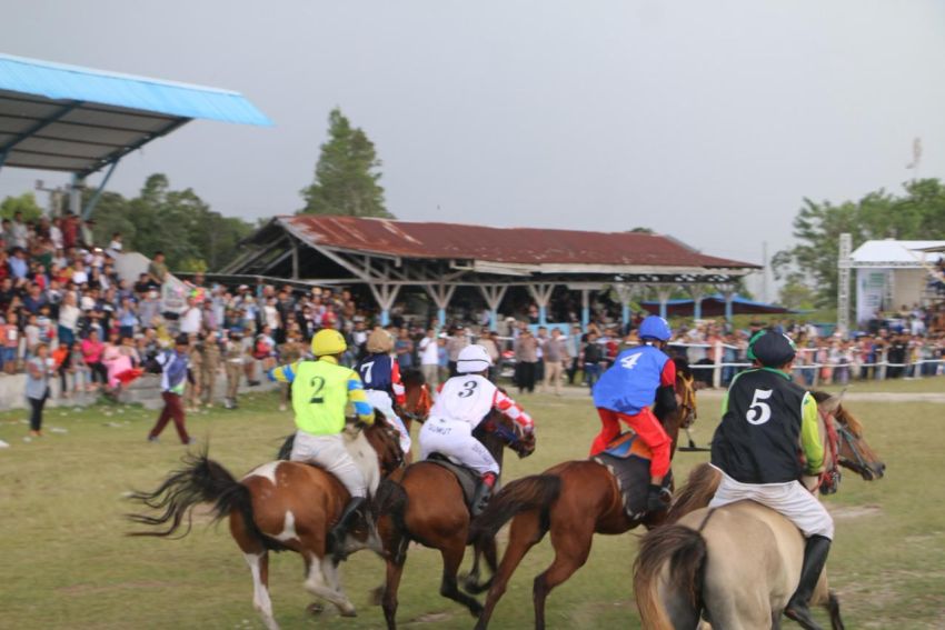 Indonesia Horse Racing Sumut Cup Seri I 2025 Digelar di Siborongborong