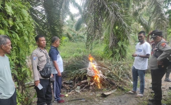 Polsek NA IX-X Gerebek Sarang Narkoba di Pulo Jantan Labura