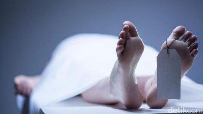 Penemuan Mayat Membusuk di Lahan Kosong, Polisi Temukan 2 KTP di Lokasi