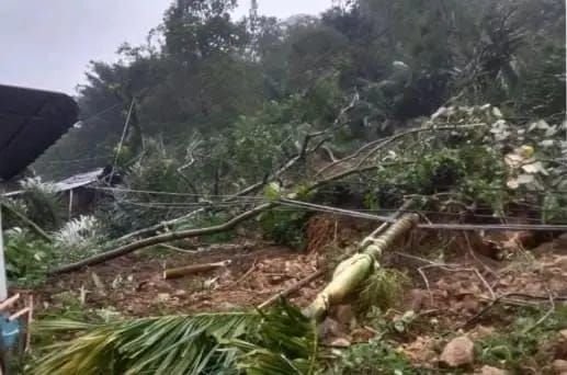 Bencana Tanah Longsor Sisundung Angkola Barat Tapsel, 1 Meninggal 2 Luka- luka