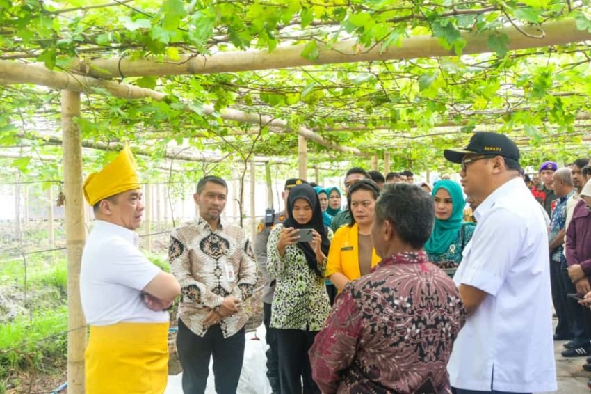 Wamendes Ahmad Riza Patria Tinjau BUMDes Anggur Berkah Jaya di Beringin, Dorong Inovasi Pertanian Desa