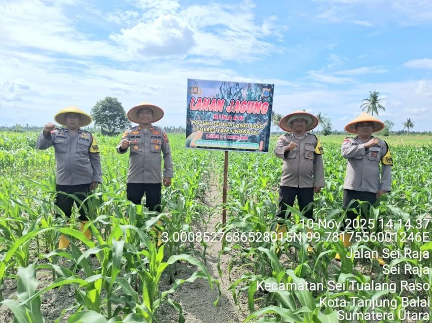 Dukung Program Ketahanan Pangan, Kapolsek STR Kontrol Lahan Jagung