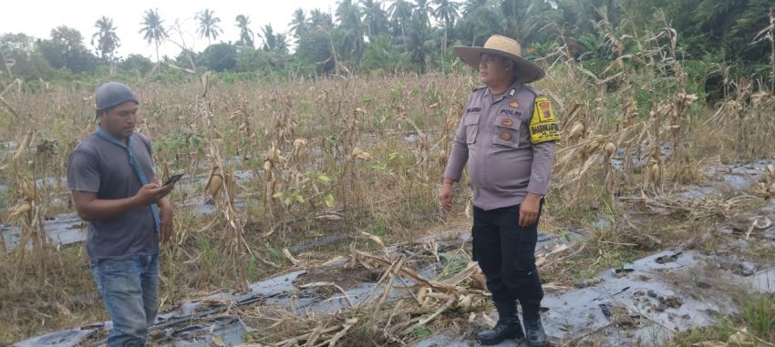 Dukung Program Ketahanan Pangan, Polres Tanjungbalai Persiapkan Lahan Jagung 1 Hektar