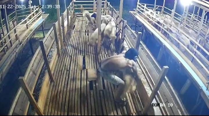 Warga Resah atas Maraknya Pencurian dan Begal di Binjai Barat