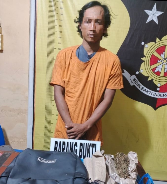 Bekuk Seorang Pengedar Narkoba, Polsek Panai Tengah Sita Ganja 1/2 Kg