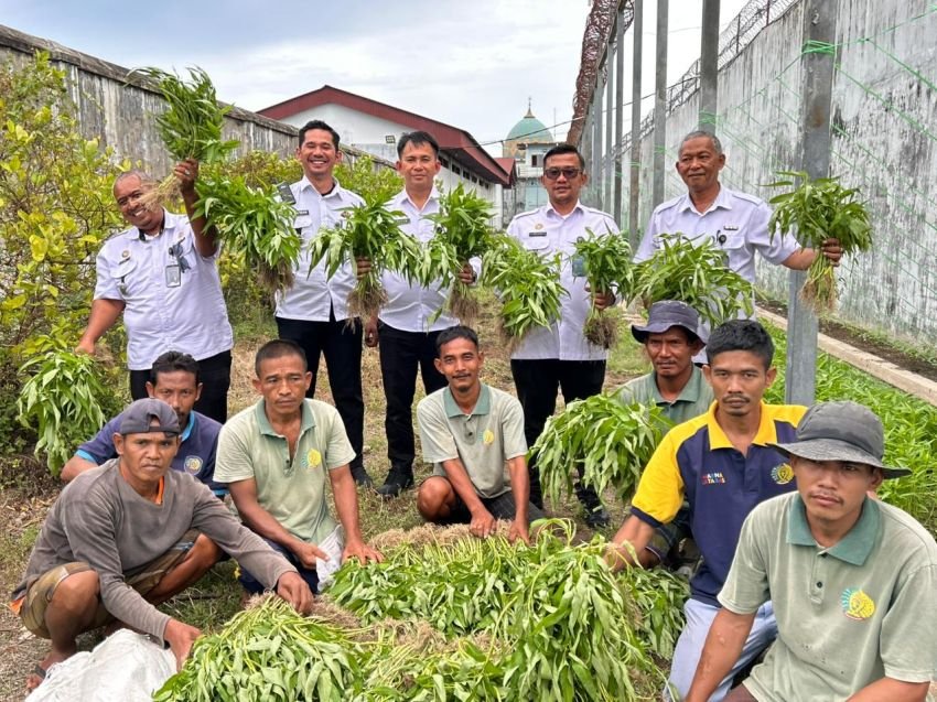 Wujud Nyata Asta Cita Presiden, Lapas TBA Panen Raya Sayur di Tanjungbalai
