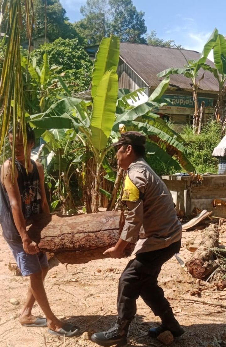Warga Gotong Royong Bersihkan Kayu Gelondongan Terbawa Arus Banjir dan Longsor di Sibolga