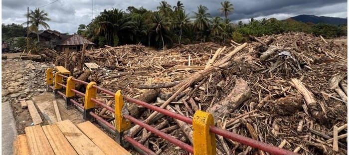 Bareskrim Temukan Tiga Alat Berat di Lokasi Kayu Gelondongan Garoga-Anggoli