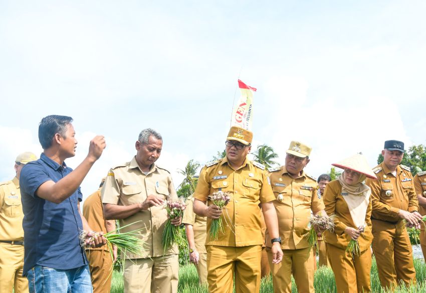 Pemkab Deliserdang Gelorakan Semangat Petani Optimalkan Potensi Lahan