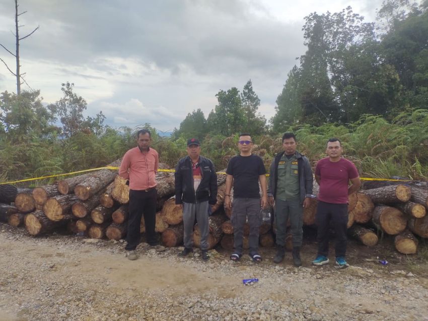 Polres Humbahas Selidiki Penebangan Kayu di Kawasan Hutan Lindung Diduga Libatkan Oknum Polisi