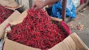 Harga Cabai Merah di Nias Tembus Rp197.500/Kg, Dampak Gangguan Pasokan dari Daerah Bencana