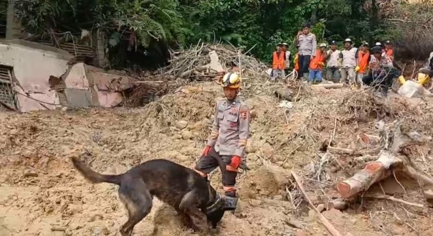 Pencarian Orang Hilang Korban Bencana Sibolga Terjunkan Anjing Pelacak K-9
