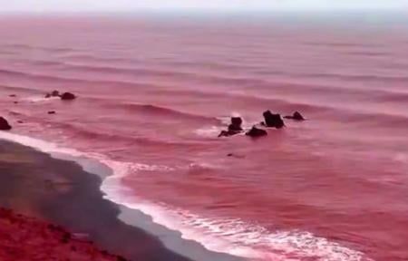 Laut Berwarna Merah Darah di Pantai Hormuz Iran, Ini Faktanya