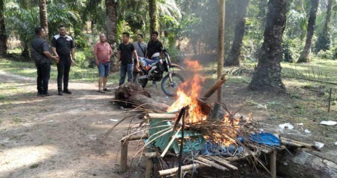Polisi Bakar Sarang Narkoba di Simpang Membot Labura