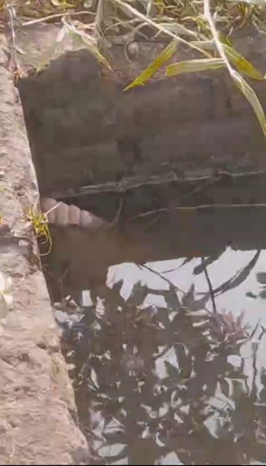 Mayat Seorang Pemuda Ditemukan Mengambang dalam Sumur di Percut Seituan