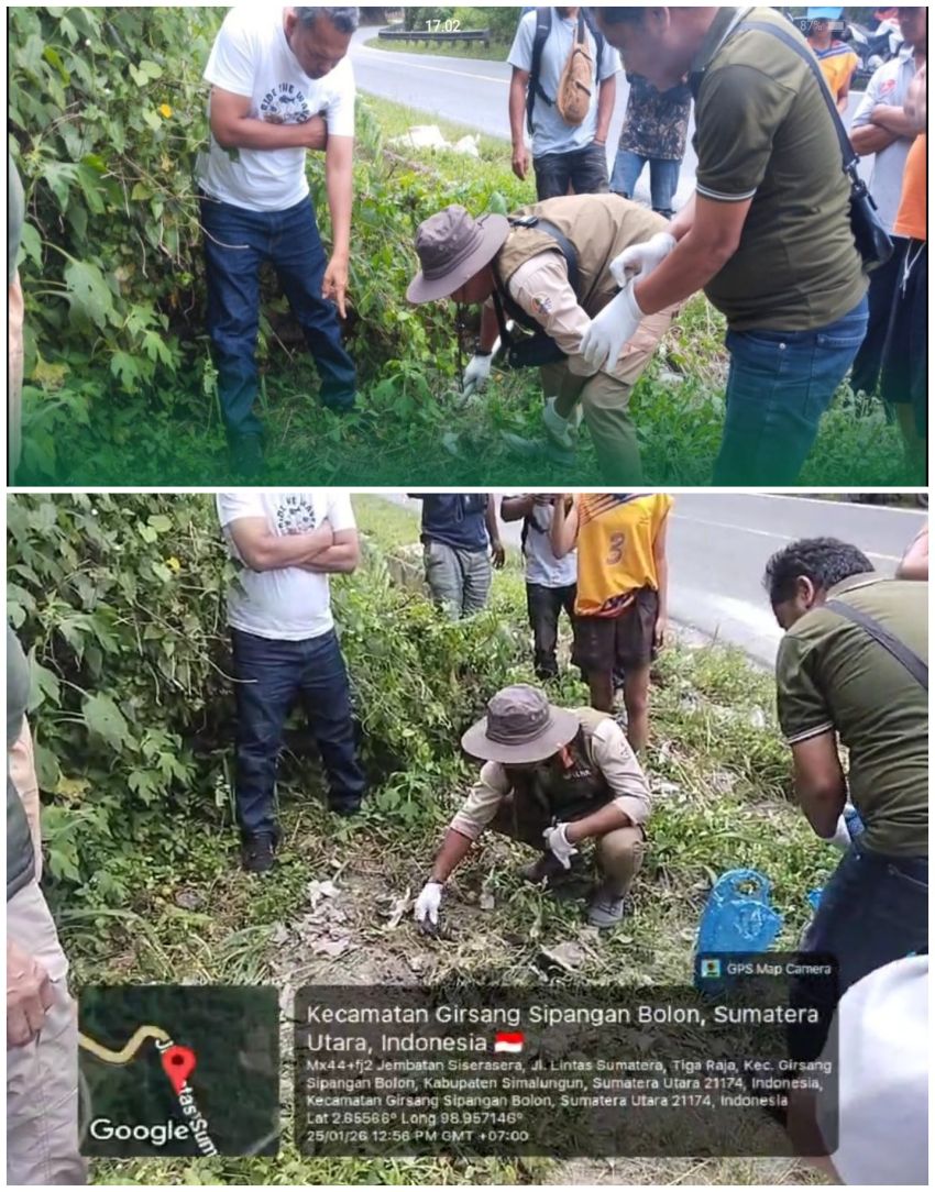 Kepala Seksi KSDA Wil III Kisaran Pastikan Satwa Yang Tertabrak di Parapat Jenis Macan Akar