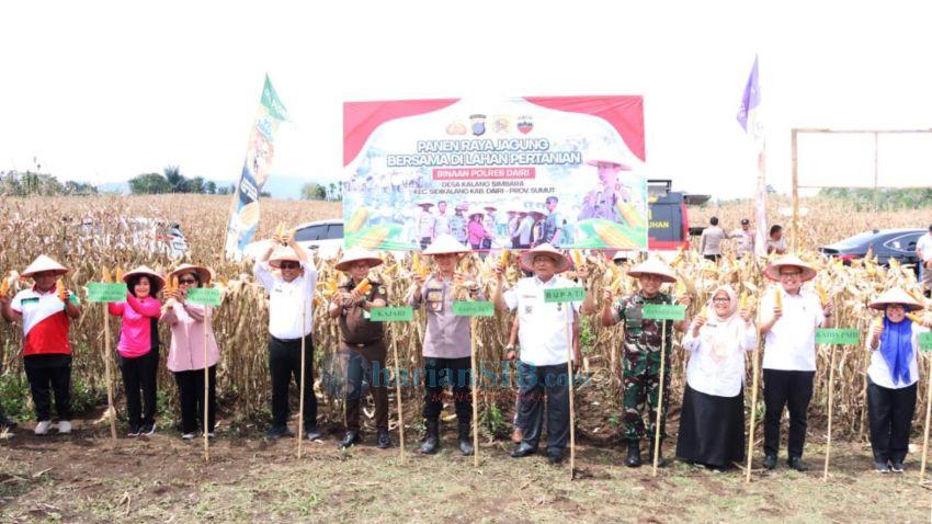 Polres Dairi Panen Raya 30 Ton Jagung di Lahan Binaan