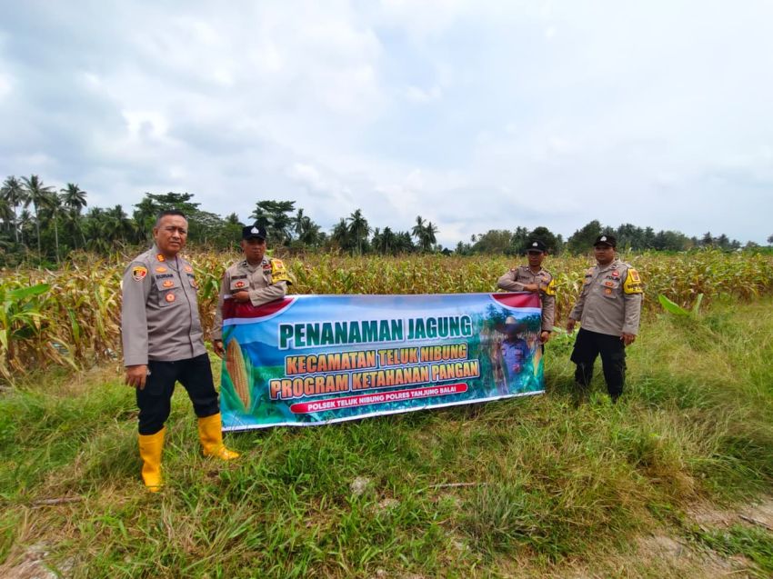 Polsek Teluk Nibung Kelola 8 Hektare Lahan Jagung Dukung Ketahanan Pangan