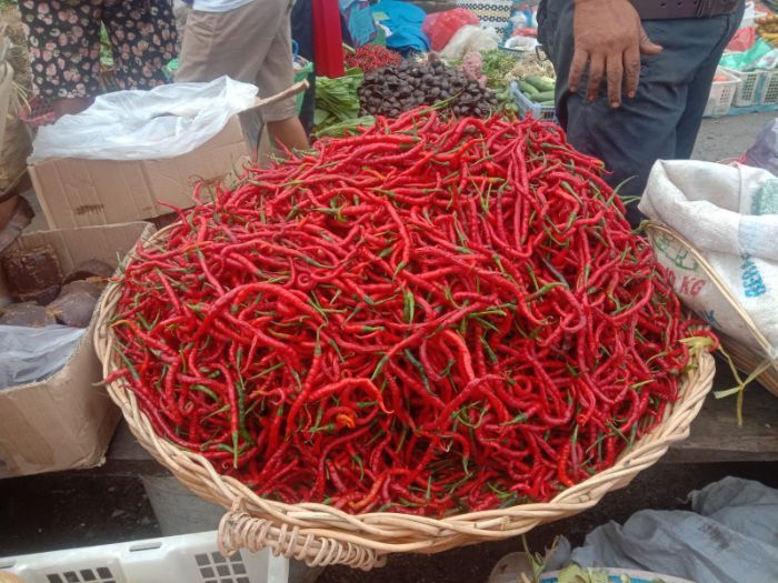 Harga Cabai Kembali Terpuruk Setelah Sempat Naik Tajam