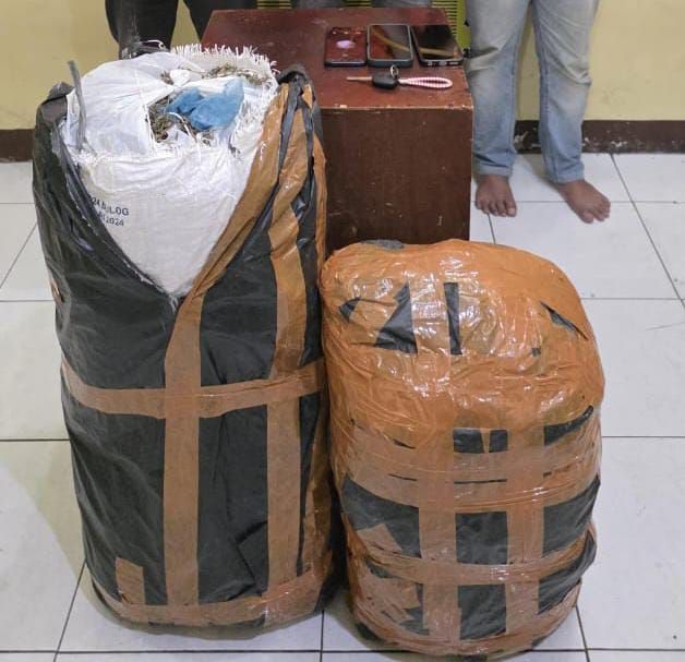 Polda Sumut Gagalkan Peredaran 20 Kg Ganja Asal Aceh, Amankan 3 Pelaku di Medan