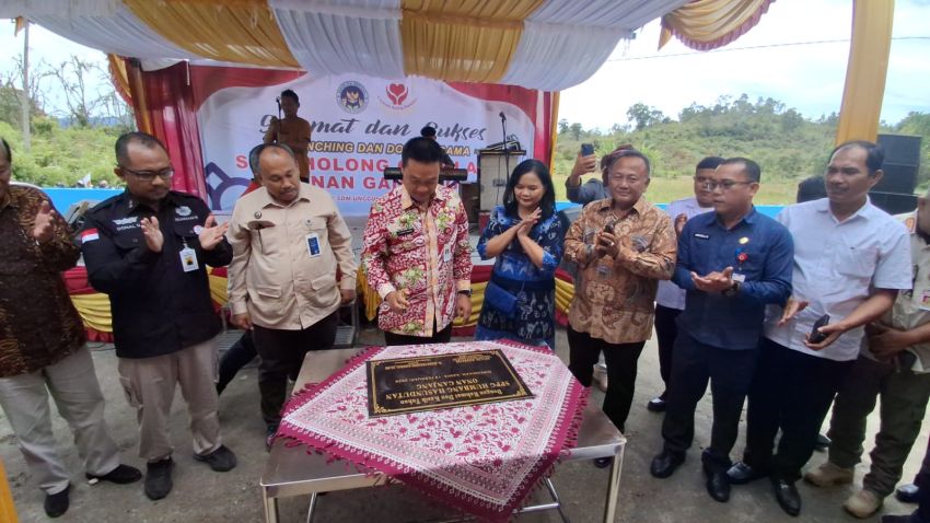 Panen Bersama Petani, Bupati Humbahas Apresiasi Hasil Bawang Putih di Lintongnihuta