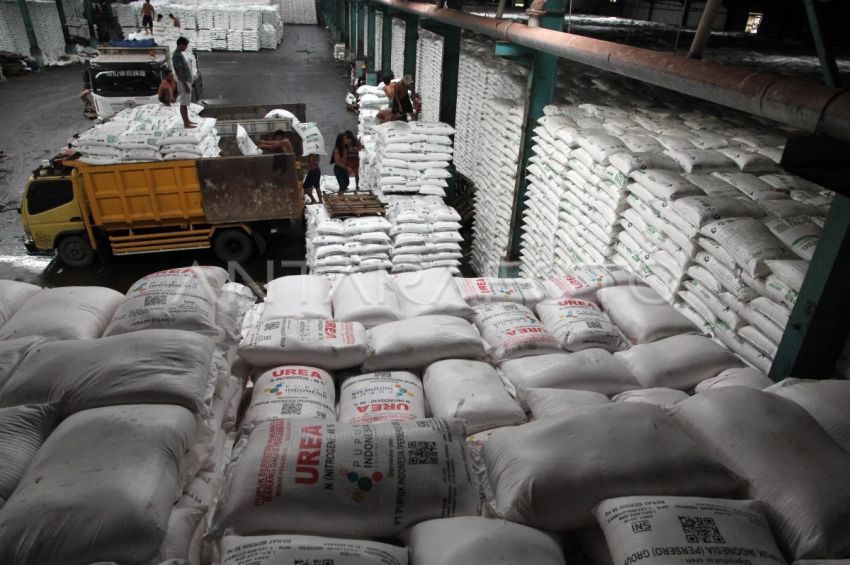 Serapan Pupuk Bersubsidi Awal 2026 di Sumut Masih Rendah, DKTPH Sumut: Petani Masih Tahap Pemupukan