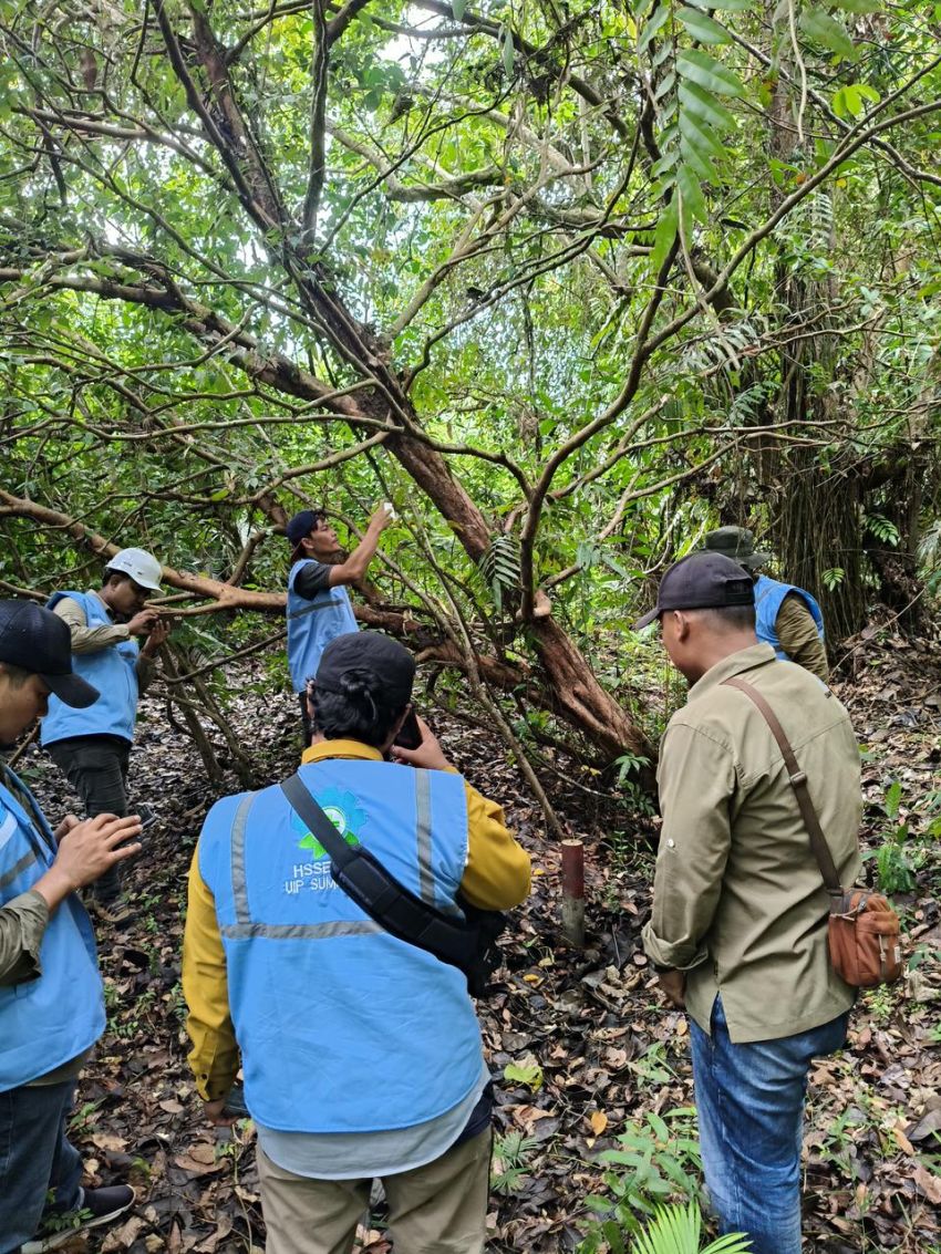 PLN UIP SBU dan Balai Besar TNGL Survei Pembangunan SUTT 150 kV di Kawasan Hutan Konservasi