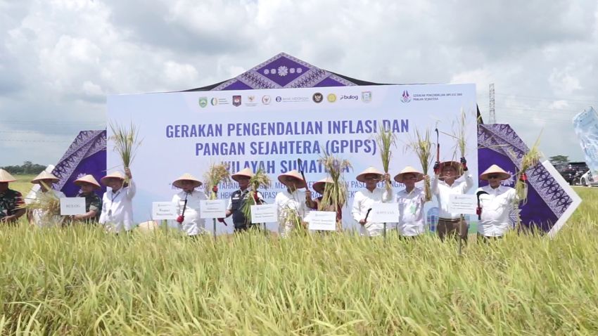 Fokus Ketahanan Pangan, BI Perkuat Strategi GPIPS Jaga Inflasi