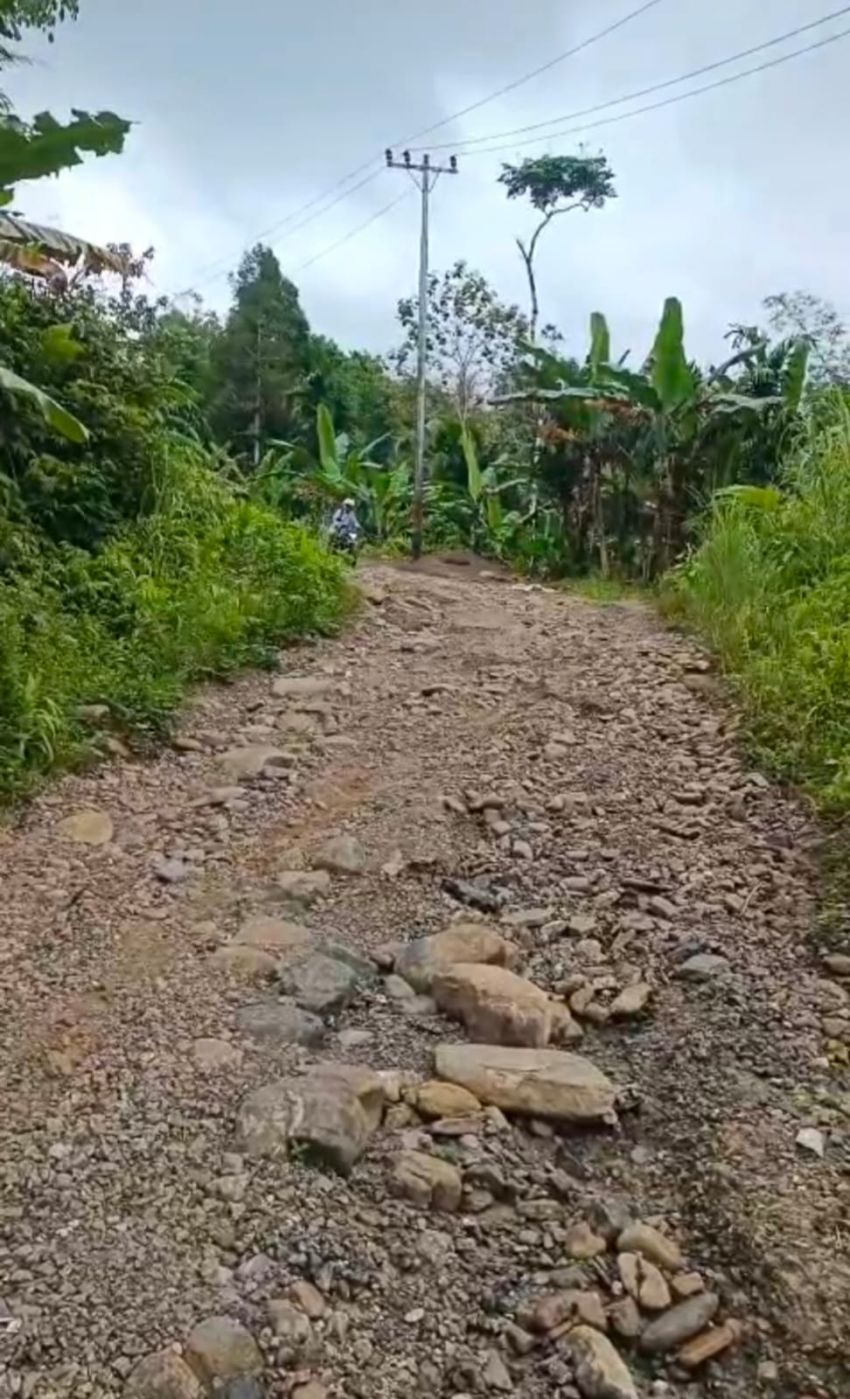Jalan di Ulugawo Nias Rusak Parah, Hambat Aktivitas Warga