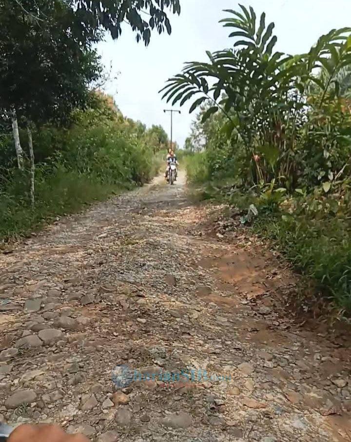 Viktor Silaen Minta Pemkab Taput Segera Perbaiki Jalan Huta Parhudonan yang &ldquo;Hancur-lebur&rdquo;