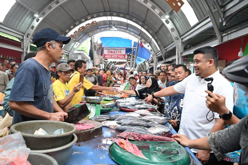 Harga Daging Ayam di Sumut Mulai Turun