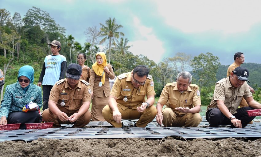 Akan Ada 502 Ha Lahan TORA di STM Hulu, Difokuskan Tanam Bawang