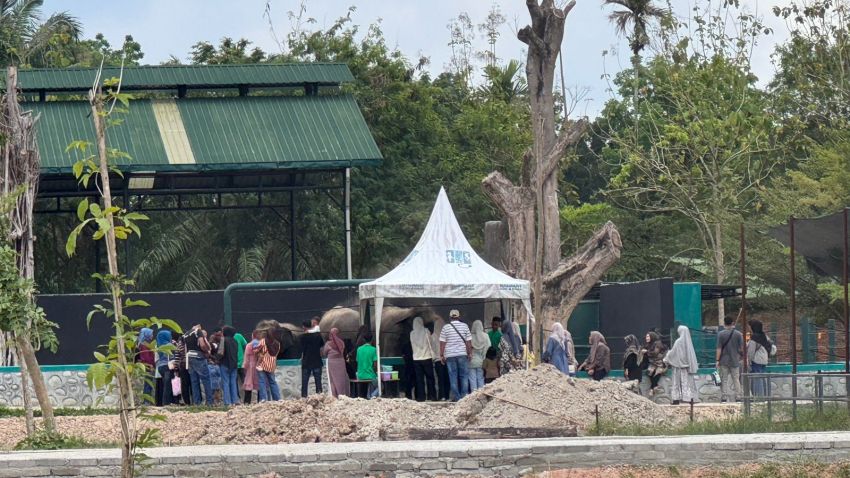 R-Zoo Sergai Jadi Destinasi Favorit Libur Lebaran, Ribuan Pengunjung Padati Lokasi