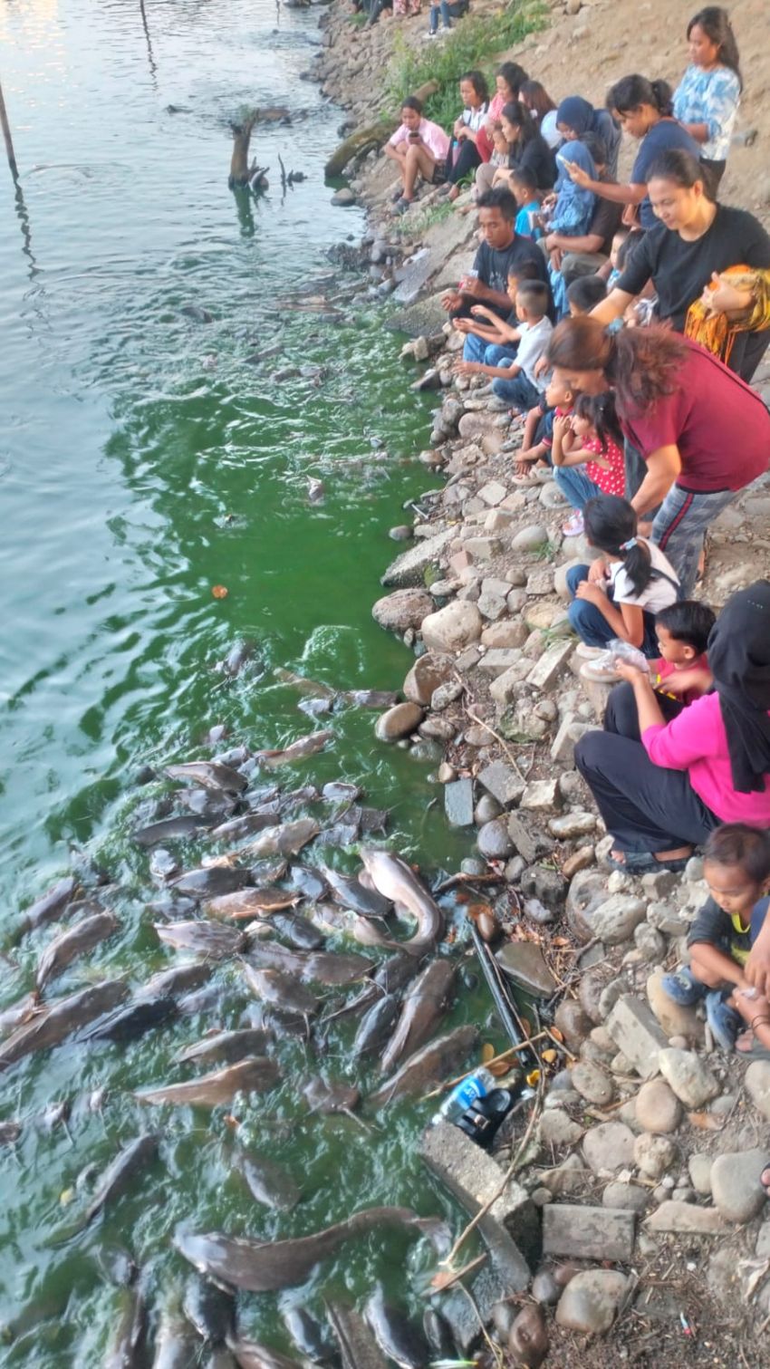 Hari Kedua Lebaran, Taman Burung Cemara Asri Dipadati Pengunjung.