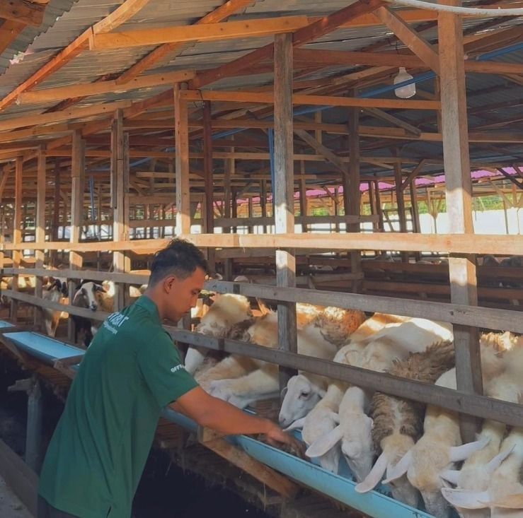 Aliyah Rizq Agriculture&ndash;KMBD Sembelih Hewan Kurban Idul Adha 2026 di Sumut