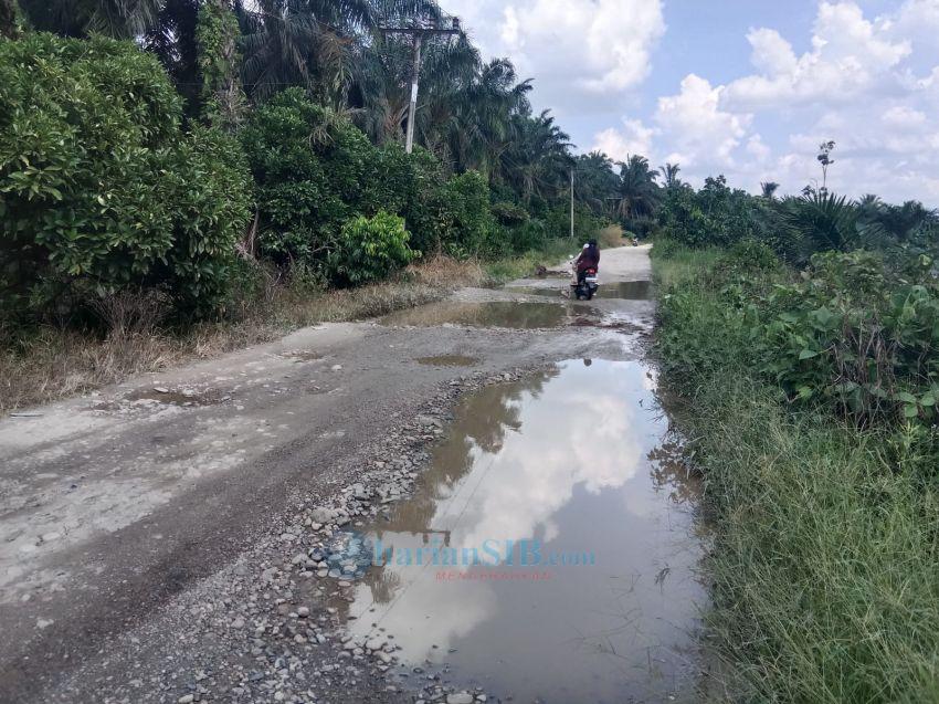 Jalan Sosa Rusak, Jalur Distribusi Sawit Dialihkan ke Rokan Hulu